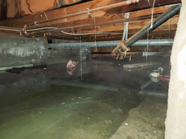 Best 24/7 water damage repair  in Bridgehampton, NY