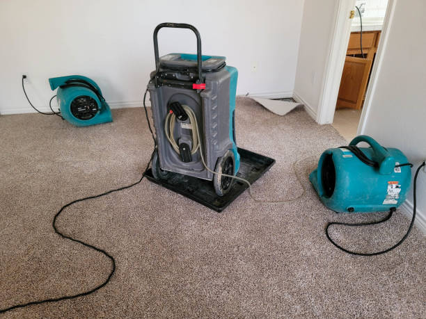 Best Basement water damage restoration  in Bridgehampton, NY
