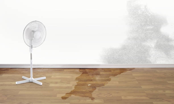 Best Local water damage restoration  in Bridgehampton, NY