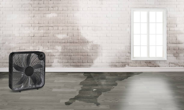 Best Water damage restoration company  in Bridgehampton, NY