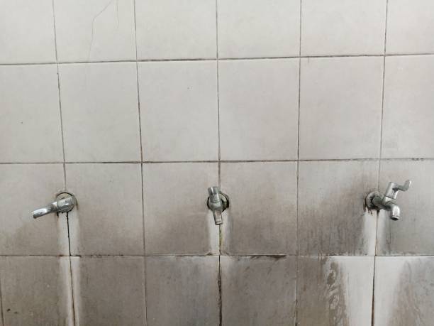Best Water damage mitigation services  in Bridgehampton, NY