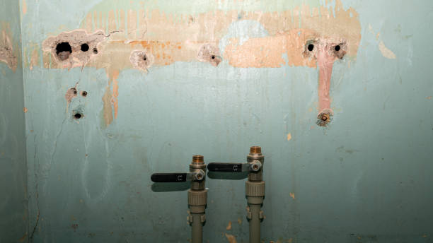 Best Water damage restoration near me  in Bridgehampton, NY