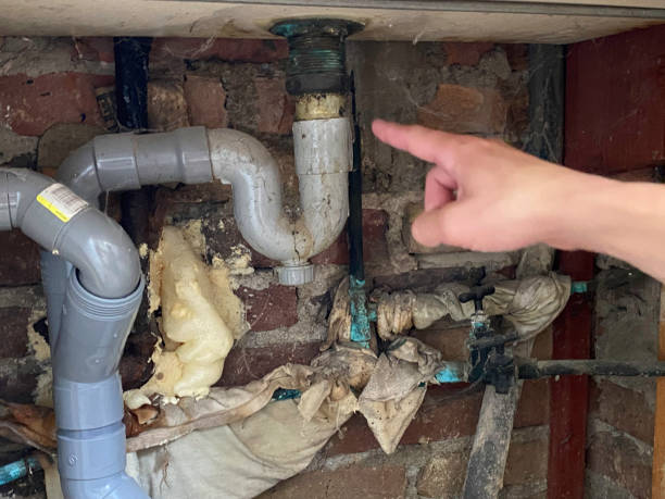 Best Mold removal after water damage  in Bridgehampton, NY